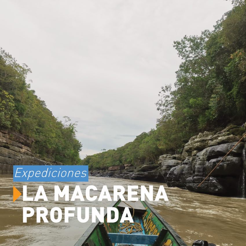 Macarena Profunda