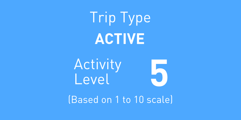Dificultad y actividad