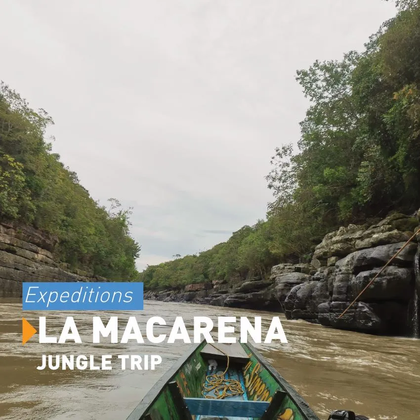 jungle tour Colombia