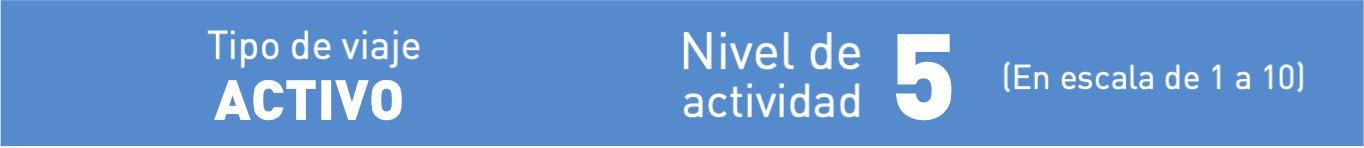 NIVEL - HORIZONTAL