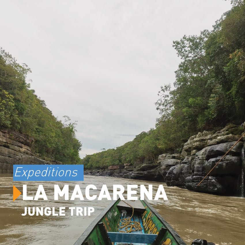 jungle tour Colombia
