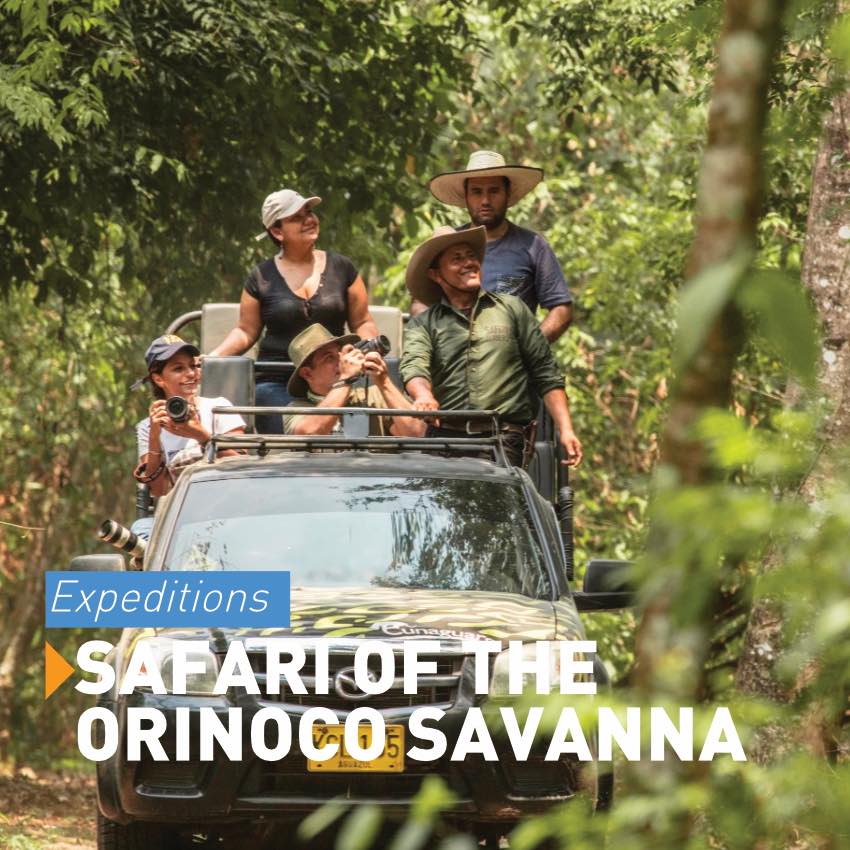 safari tours in Colombia